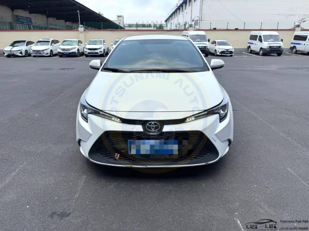 Toyota Levin