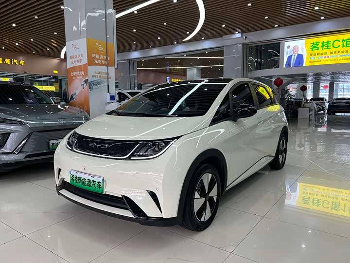 BYD Dolphin